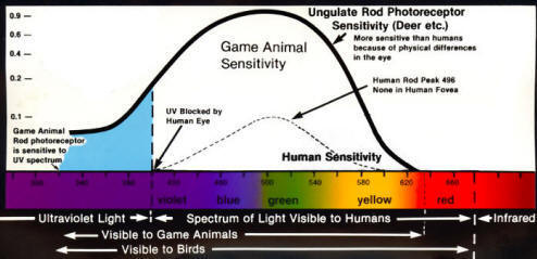 animals_spectral_sensitivity