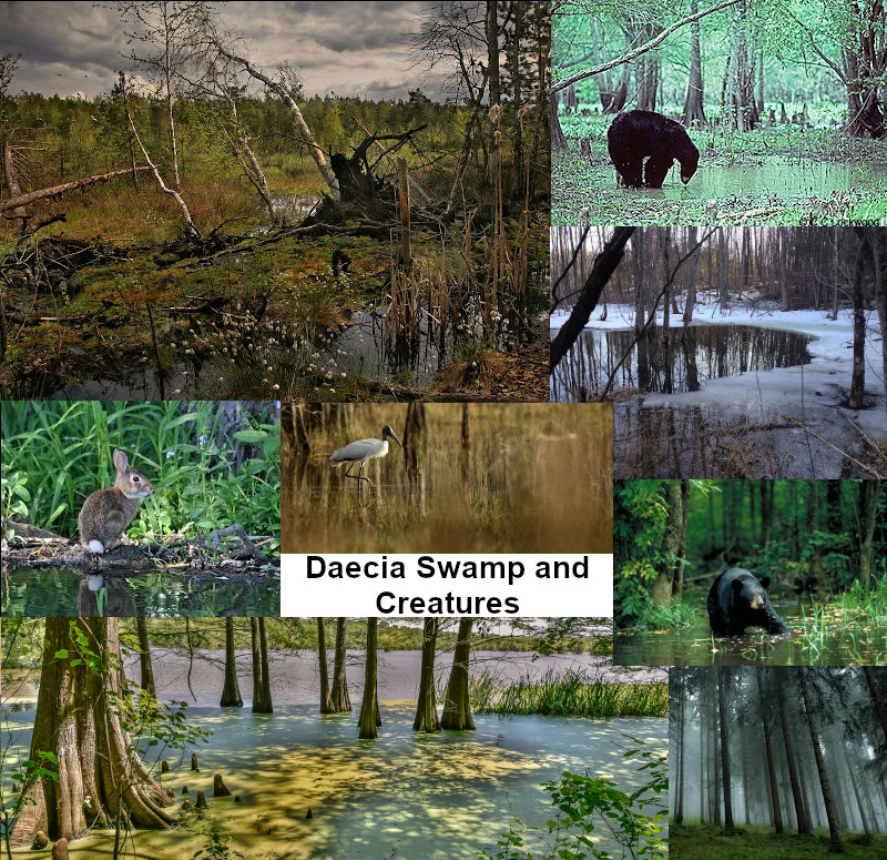 A composite image of various swamp scenes and creatures.